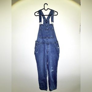 Gap Slouchy Overalls with Washwell - Large